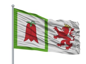 Arauco City Flag On Flagpole, Country Chile, Isolated On White Background, 3D Rendering