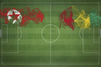 North Korea vs Guinea Soccer Match, national colors, national flags, soccer field, football game,