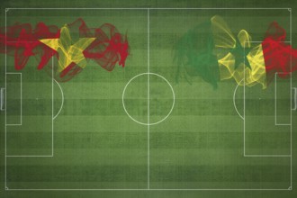 Vietnam vs Senegal Soccer Match, national colors, national flags, soccer field, football game,