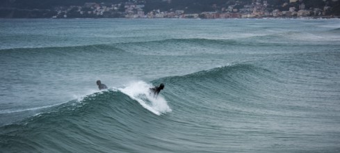 Surfer on a wave