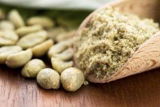 Green coffee beans with leaf, lodz, poland