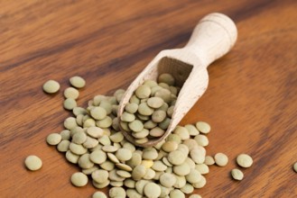 Dry Organic Green Lentils, lodz, poland