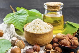 Hazelnut flour in a bowl, nuts in a spoon, oil in glass jar and filbert branch with green leaves on