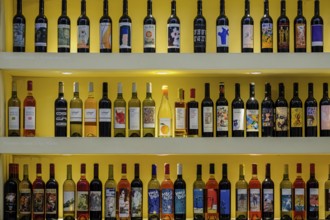 Macià Batle wineries, variety of wines, Santa Maria del Cami, Mallorca, Balearic Islands, Spain,