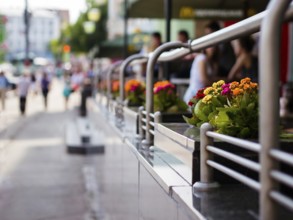 Flowers in city outdoor cafe