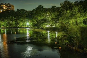 Night of the Inokashiro Park. Shooting Location: Tokyo Musashino City