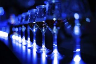 Stylish wine glass image of. Shooting Location: Tokyo metropolitan area