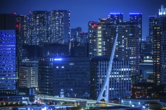 Night view of Tokyo seen from Odaiba, Tokyo. Shooting Location: Tokyo metropolitan area