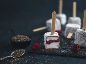 Homemade raw lamington ice cream pops on dark background. Australian sweet dessert lamington with