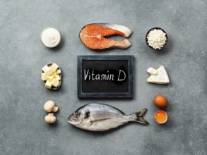 Vaitamin D sources concept. Fish, salmon, dairy products, eggs, mushrooms and chalkboard with