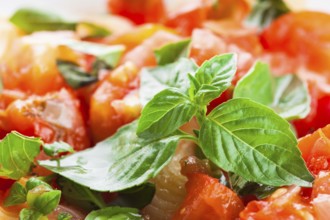 Pasta with sauce from fresh tomatoes and basil, close up