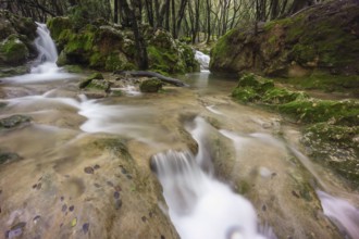 Torrente Es Freu. Orient, Sierra de Tramuntana. Mallorca. Balearic Islands. Spain