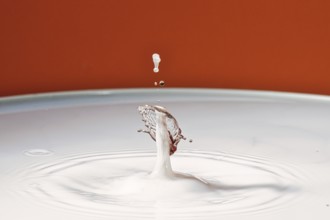 A drop hits a white liquid and creates a splashing movement, water droplets, collision, high-speed
