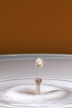 A sparkling drop hits the surface of the milk and creates gentle waves, water droplets, collision,