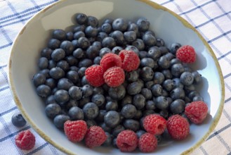 Blueberries and raspberries