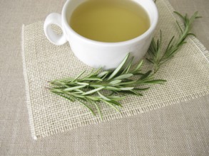 Rosemary tea, tea made from fresh rosemary