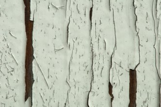 Cracked old painted white wooden wall