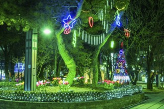 Taebeck, South Korea. January 29, 2019: Lights hanging from trees with Christmas tree in background