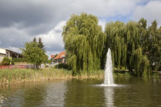 Pictures from Schielo Harz