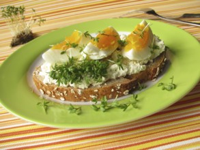 Wholemeal spelt bread with cream cheese, cress and egg