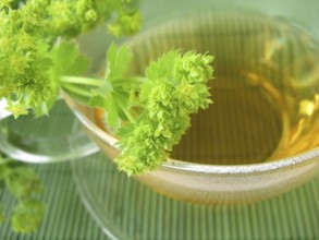 Women and woman's tea