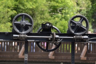 Gear wheels and drive shaft
