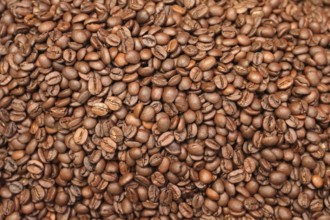 Coffee beans