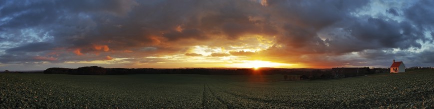 Panorama, sunset in the Ried