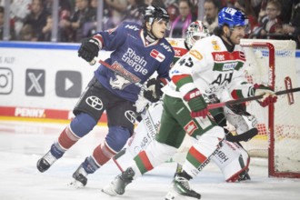 Laura Dick Cologne, LanxessArena, North Rhine-Westphalia, Tim Wohlgemuth (Cologne Sharks, #33),