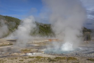 Geyser, Black Sand Basin, Yellowstone NP