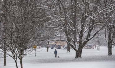 Heavy snow squalls of lake-effect snow falls over Springbank Park in London, Canada. Environment