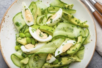 Healthy green avocado salad bowl with boiled eggs, sliced cucumbers, edamame beans, olive oil and