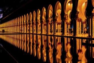 Shakezy Cayd Grand Mosque United Arab Emirates. Shooting Location: Abdabi