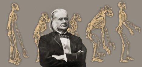 Portrait of Thomas Henry Huxley, 1825 – 1895, English biologist and anthropologist, specialized in