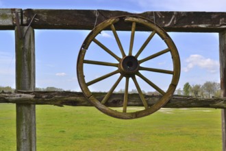 Antique old wagon wheel