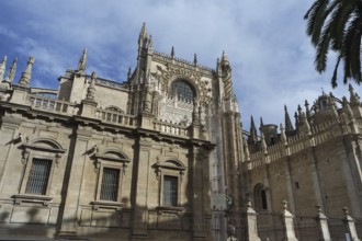Seville Cathedral, Santa María de la Sede