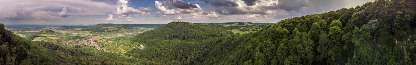 Forest landscape from the air
