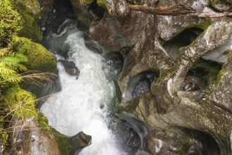 Famous Chasm gorge with beautifully outwashed rock, Milford Sound, South Island of New Zealand