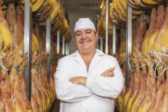 Man controlling the curing of spanish jamon. Food industry concept