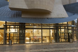 La Cinematheque Francaise, Paris, Ile-de-france, France, Europe