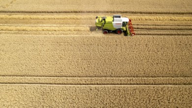 Grain harvest in a field near Recklinghausen