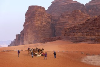 Jordan, Wadi Rum, November 2, 2022: Camels rest on the sand in the desert, people around. Sandstone