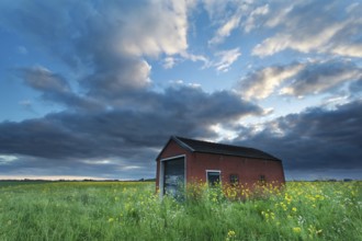 Sunset sky over farmhouse on rapeseed field in spring