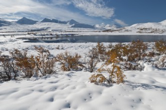 View to the peaks Hoegronden, Midtronden and Digerronden, Rondane National Park, Oppland Fylke,
