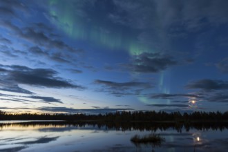 Northern Lights (Aurora borealis) over a forest lake, Norrbotten, Lapland, Sweden, August 2013,