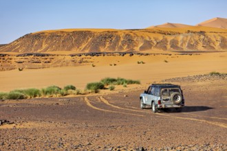An off-road vehicle drives on unpaved lanes in a desert landscape with low vegetation, Off-road