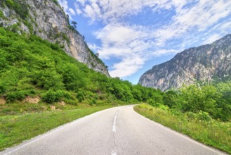 Road leading to the mountains in Montenegro