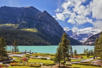 Banff National Park, Rocky Mountains, Canada. Flowers on the embankment of glacial Lake Louise.