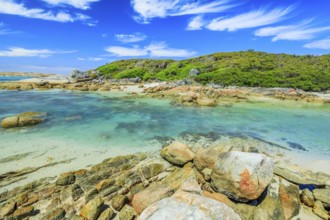 Scenic Madfish Island has the best William Bay rock pools. William Bay NP, Albany region, Western