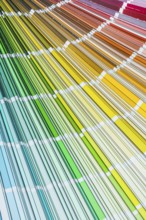 Colour pantone palette fan on wooden board top view